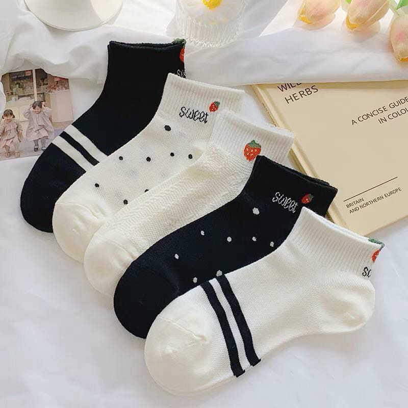 مجموعه 6 شرابات كود 1018