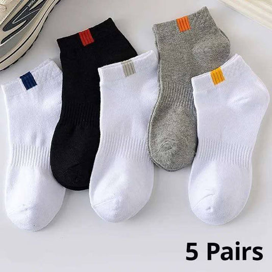 مجموعة 6 شرابات بيزك تريند